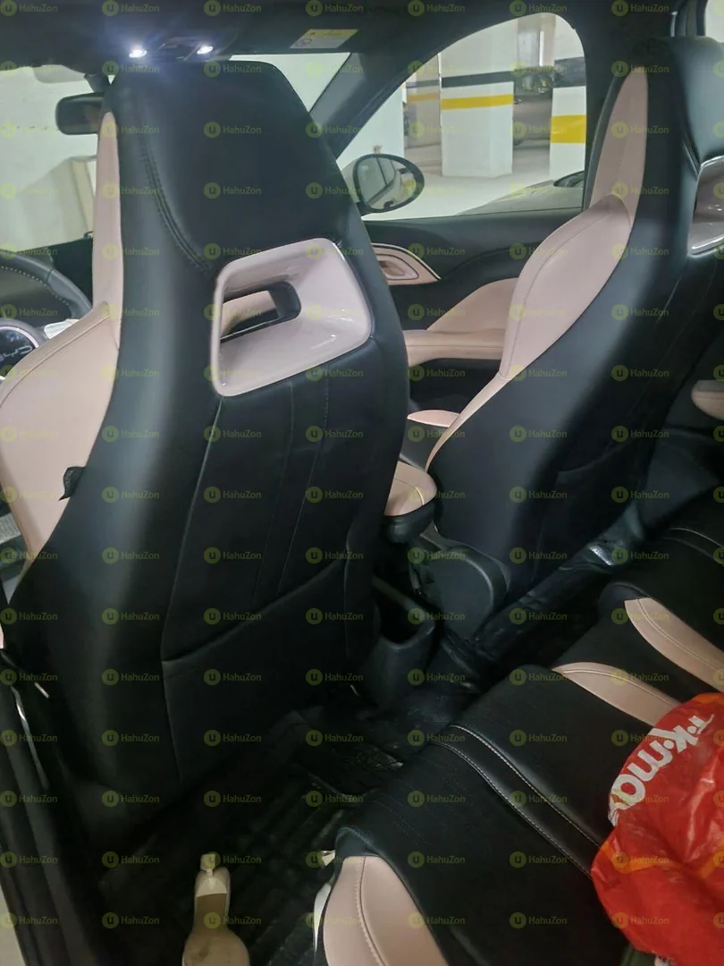 2024 Model-BYD Seagull