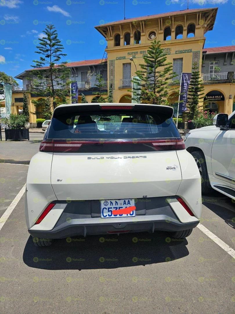 2023 Model-BYD Seagull