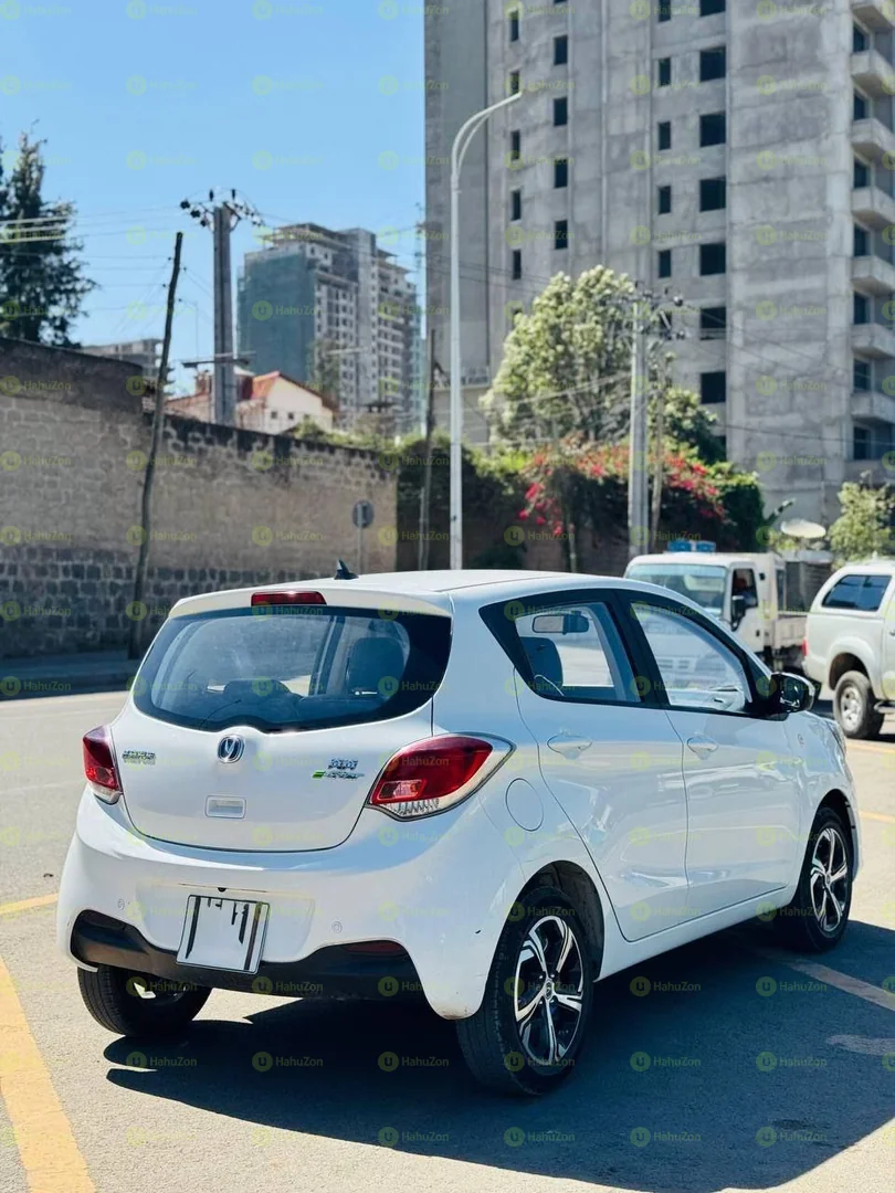 2023 Model-Changan Benbez e-star