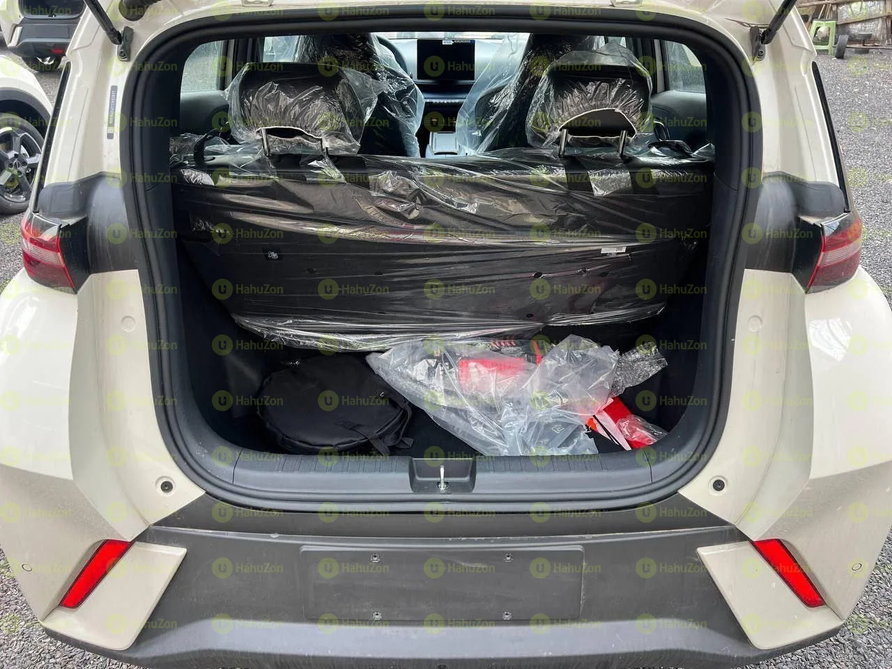 2024 Model-BYD Seagull