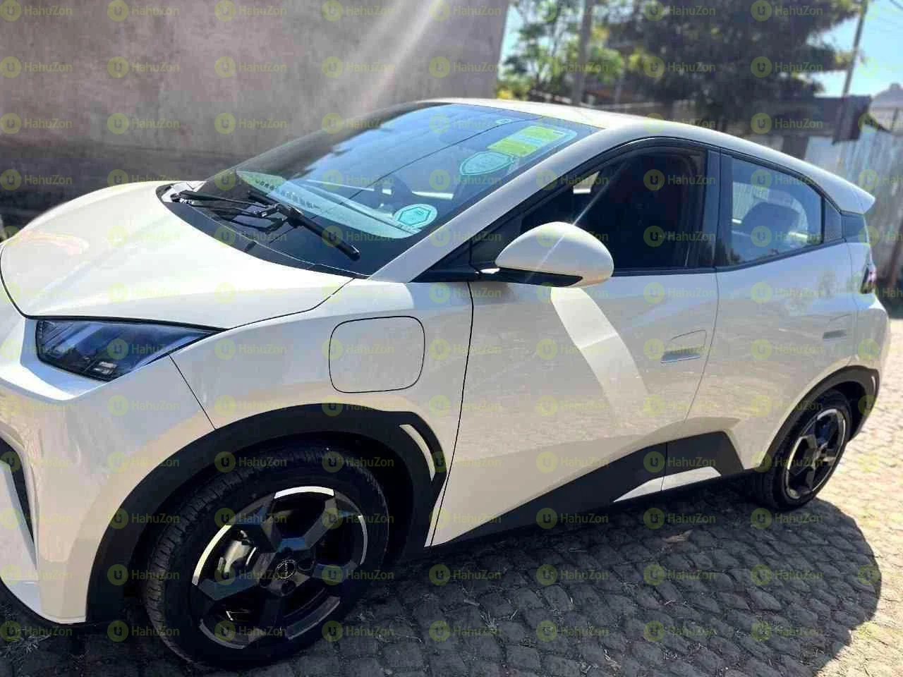 2024 Model-BYD Seagull