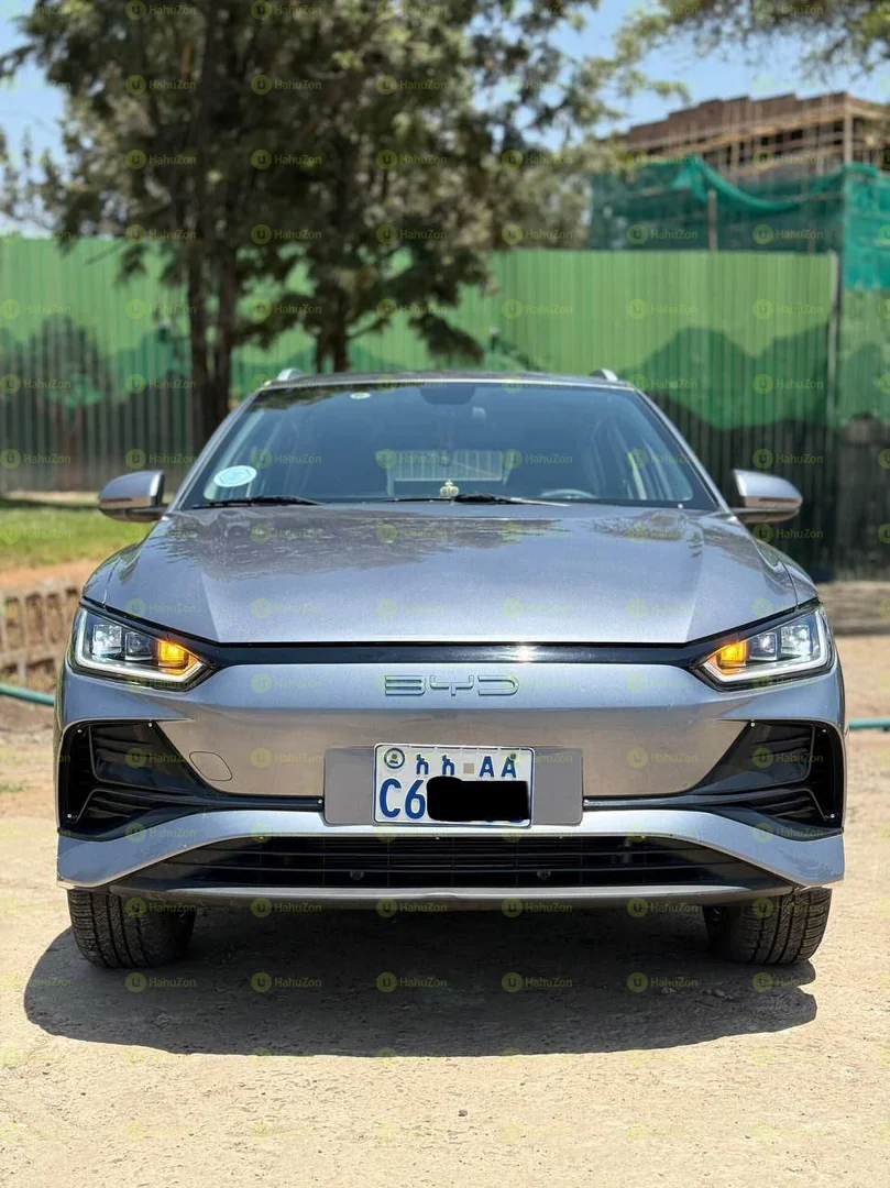 2024 Model-BYD e2