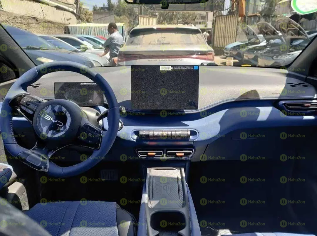 2025 Model-BYD Seagull