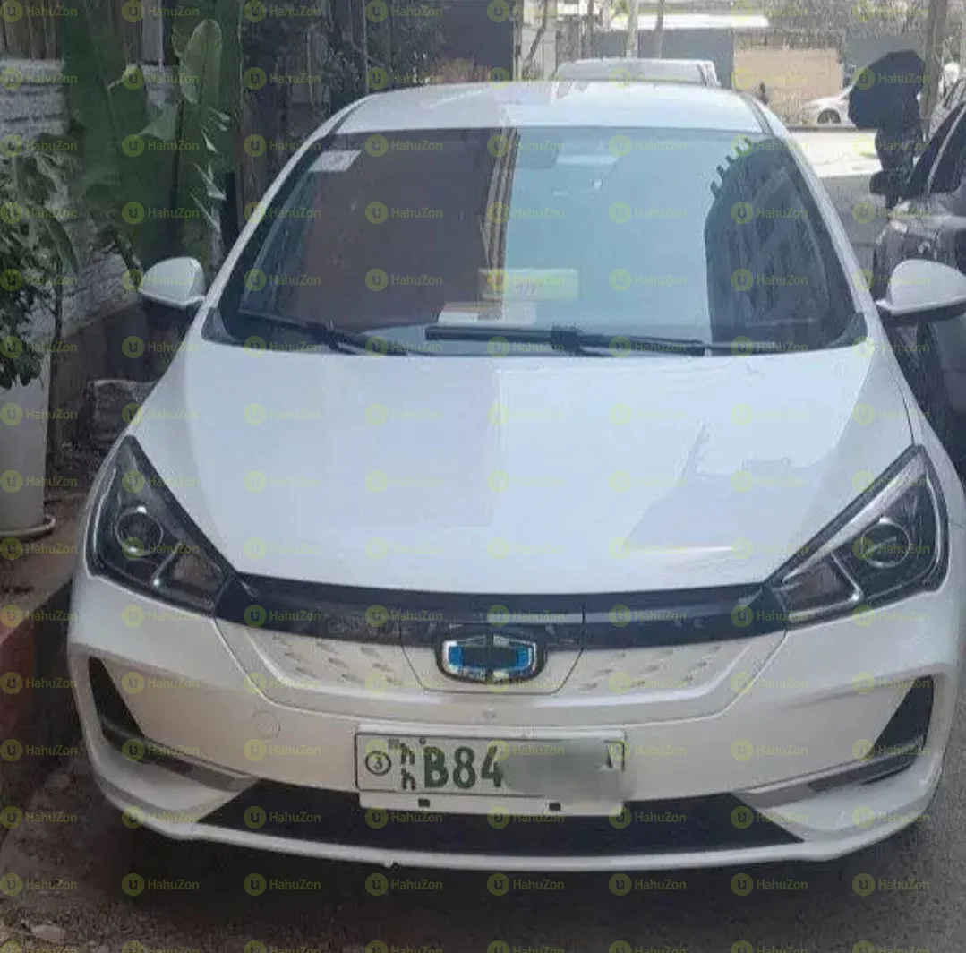 2023 Model-Sino Gold Ev