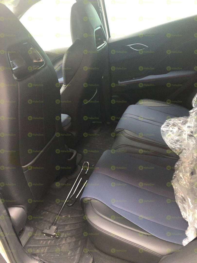 2024 Model-BYD Seagull