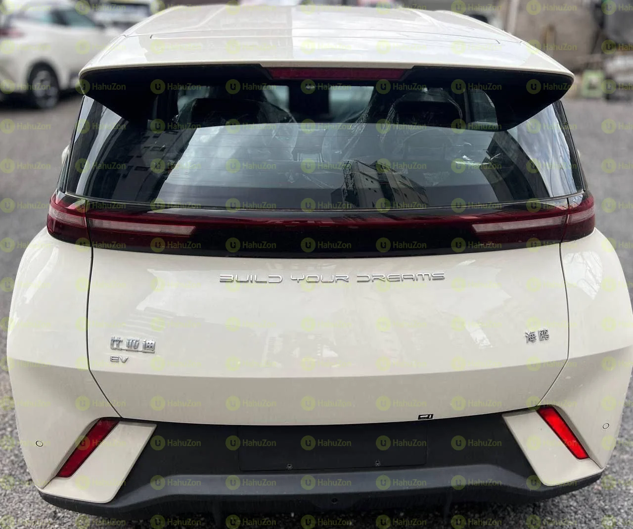2024 Model-BYD Seagull