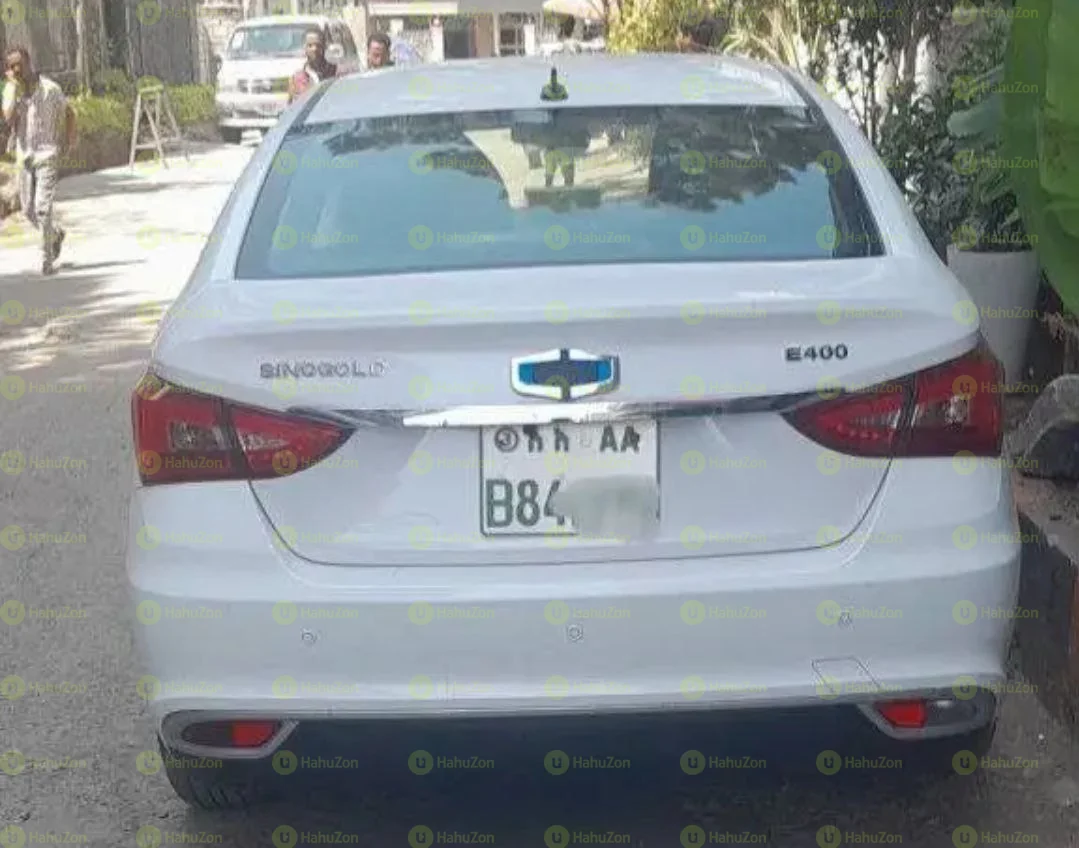 2023 Model-Sino Gold Ev