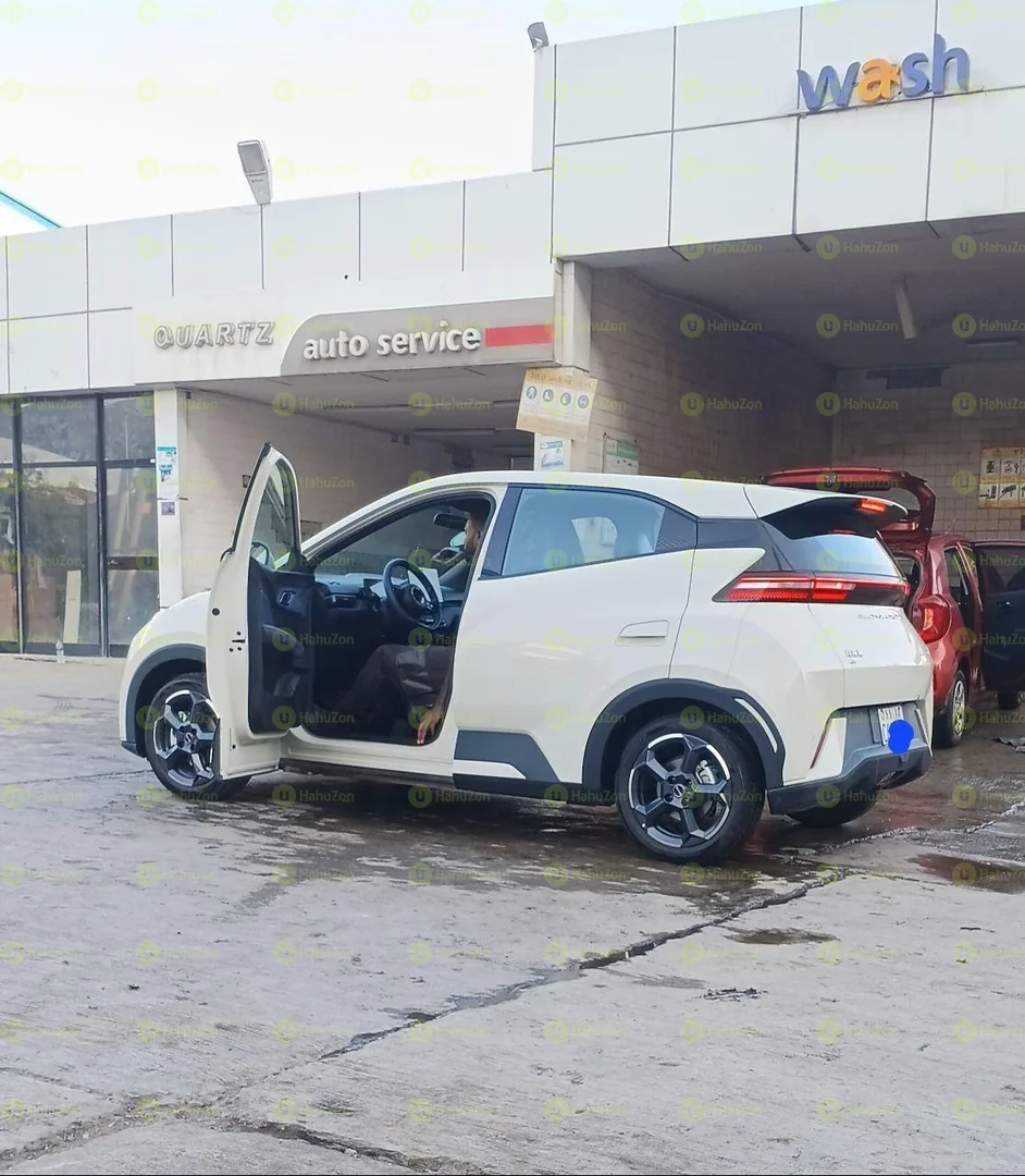 2024 Model-BYD Sagull