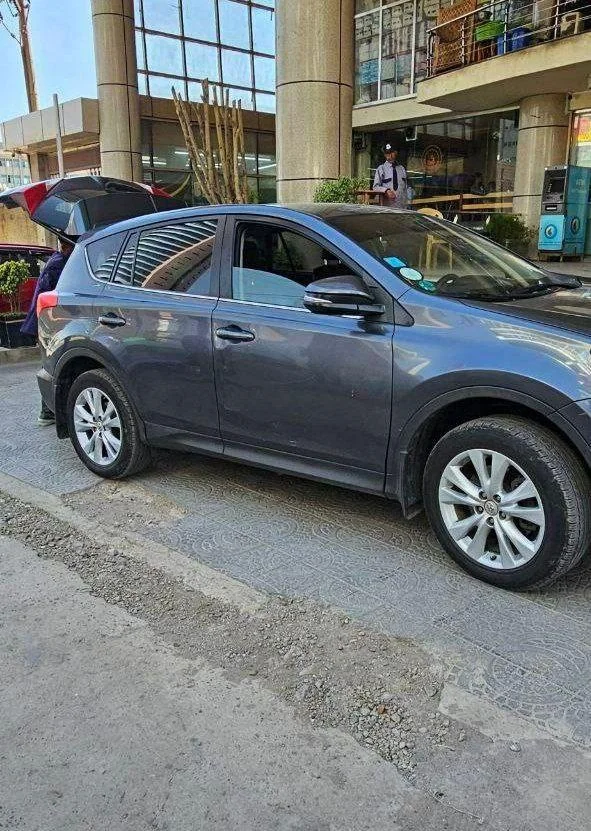 2015 Model-Toyota Rav4