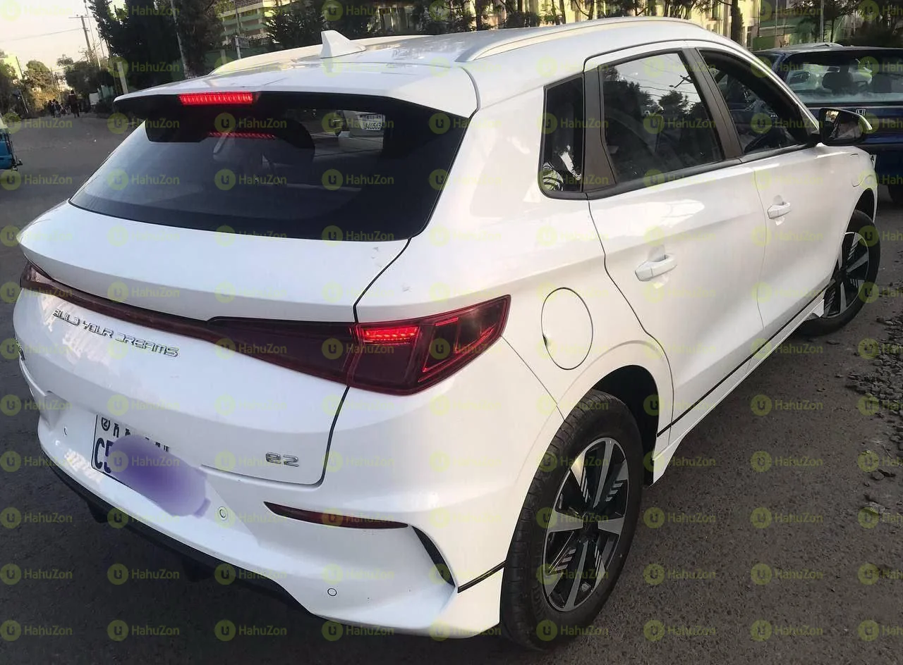 2024 Model-BYD e2