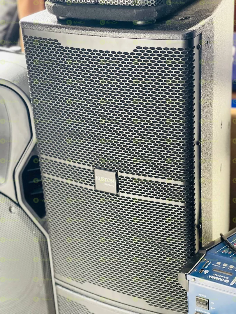 Kustom For Musicians Speaker