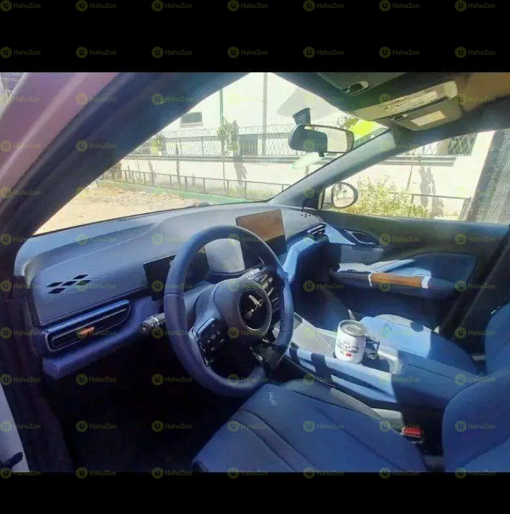2024 Model-BYD Seagull