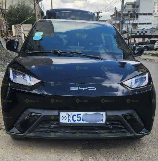 2024 Model-BYD Seagull