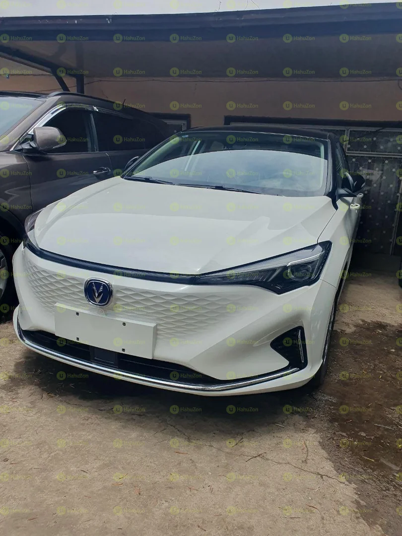 2024 Model-Changan Eado