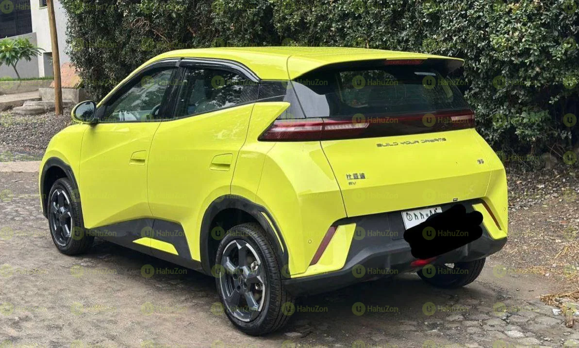 2024 Model-BYD Seagul