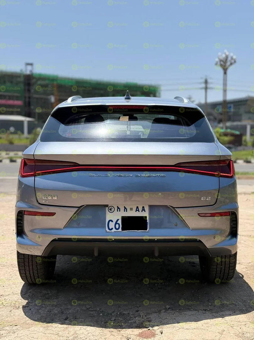 2024 Model-BYD e2