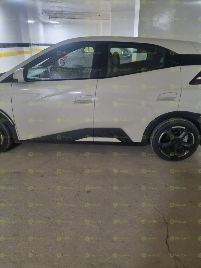 2024 Model-BYD Seagull