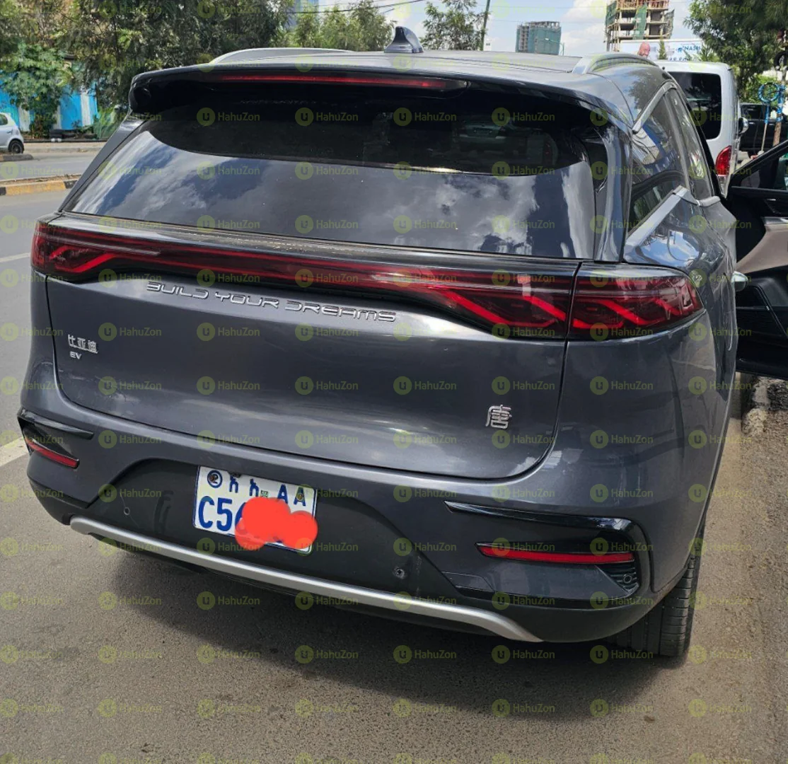 2024 Model-BYD Tang