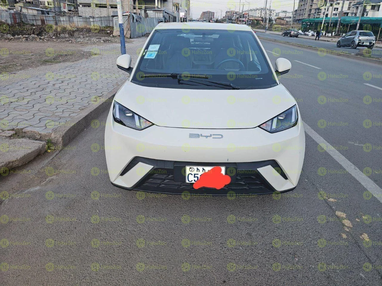 2024 Model-BYD Seagull