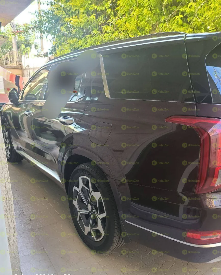 2022 Model-Hyundai Palisade