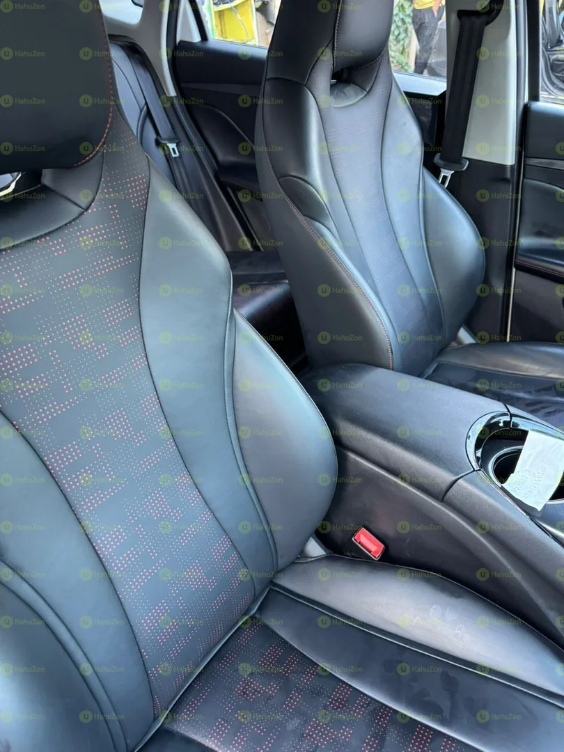 2024 Model-BYD e2