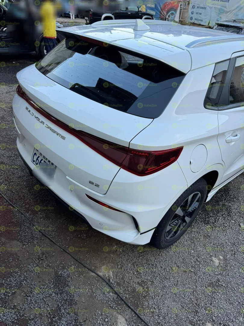 2024 Model-BYD e2