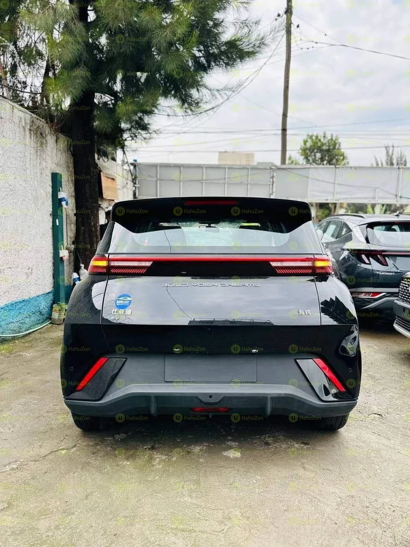 2025 Model-BYD Seagull