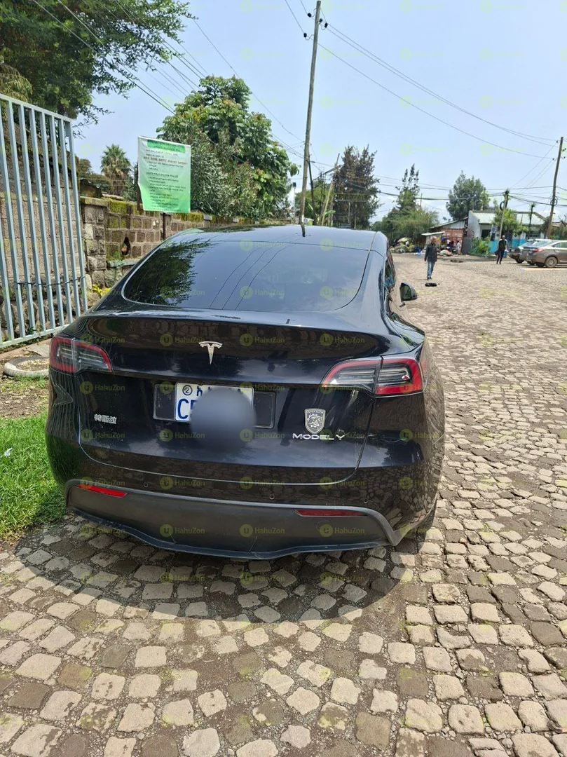 2023 Model-Tesla Y