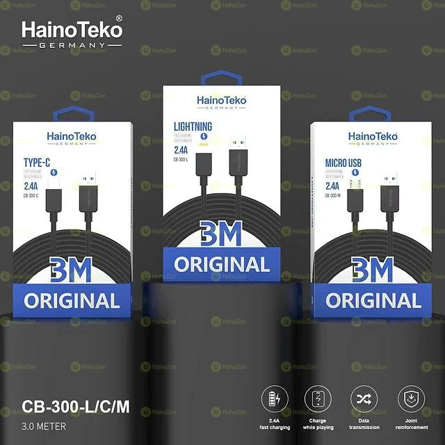 HainoTeko Germany Charging