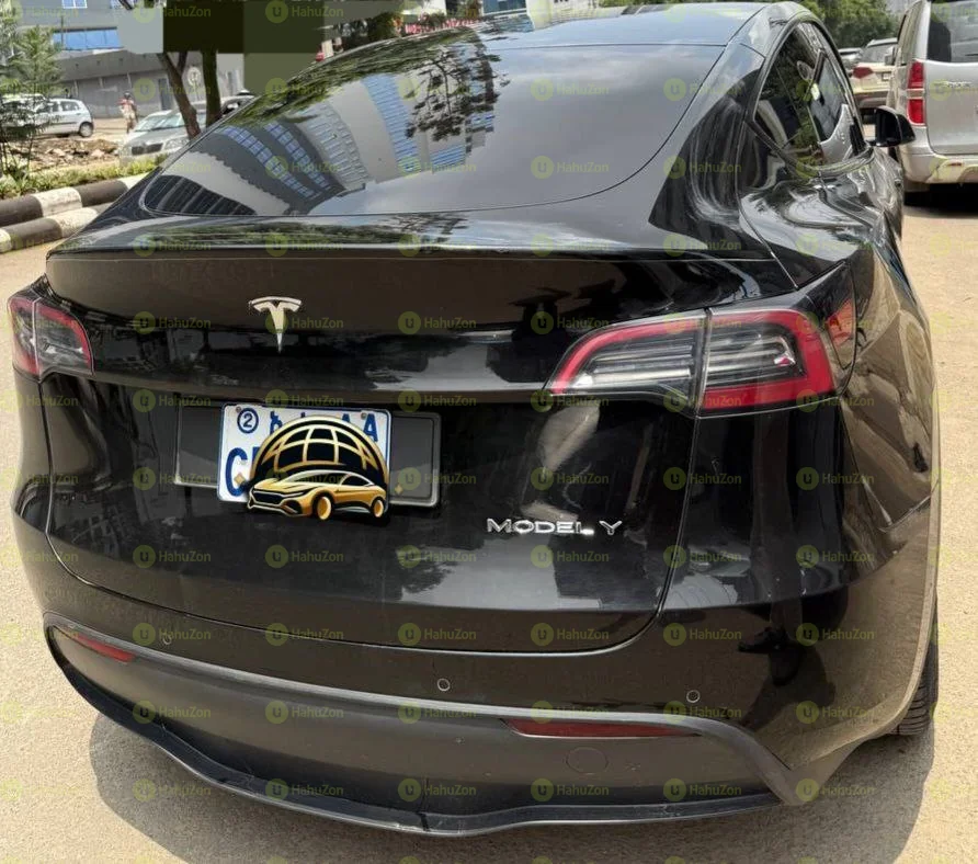 2023 Model-Tesla Y