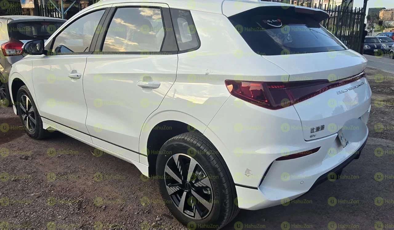 2024 Model-BYD E2