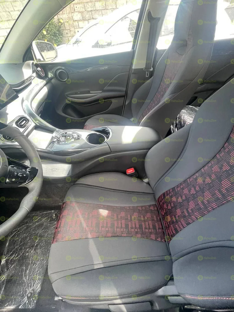 2025 Model-BYD e2