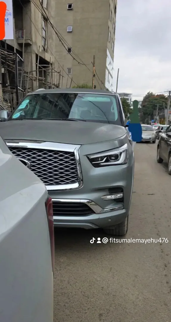 2018 Model-NFINITI QX80