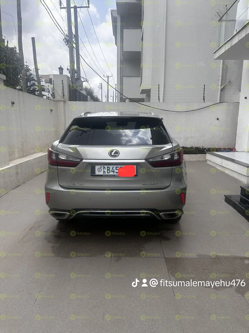 2018 Model-Lexus RX300