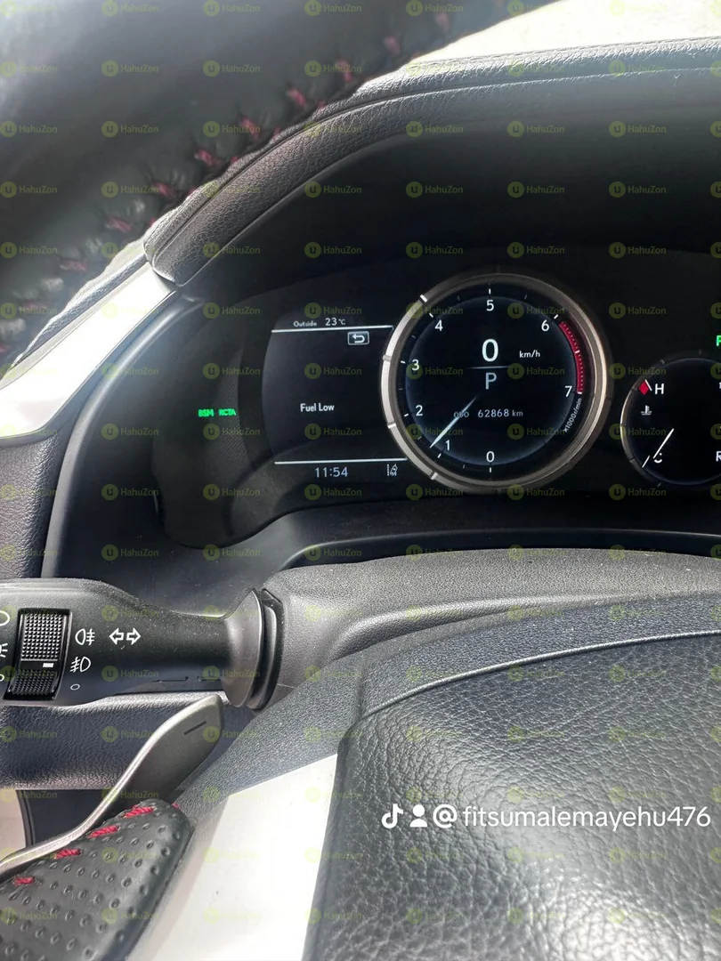 2018 Model-Lexus RX300