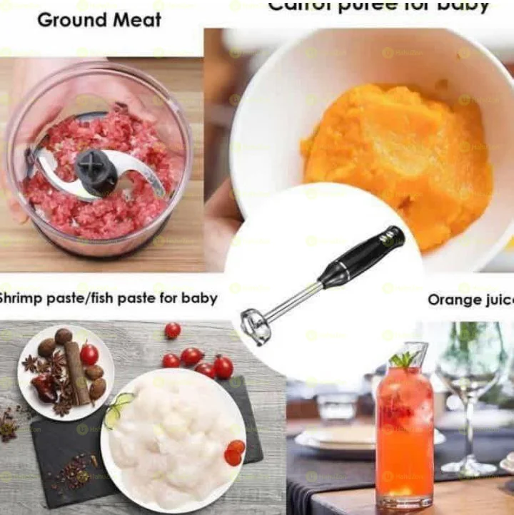 Naifeo 4 IN 1 Hand Blender
