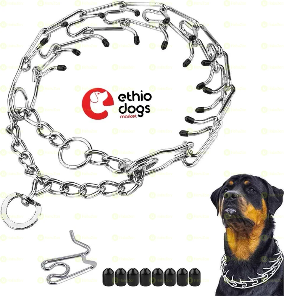 Prong Collar