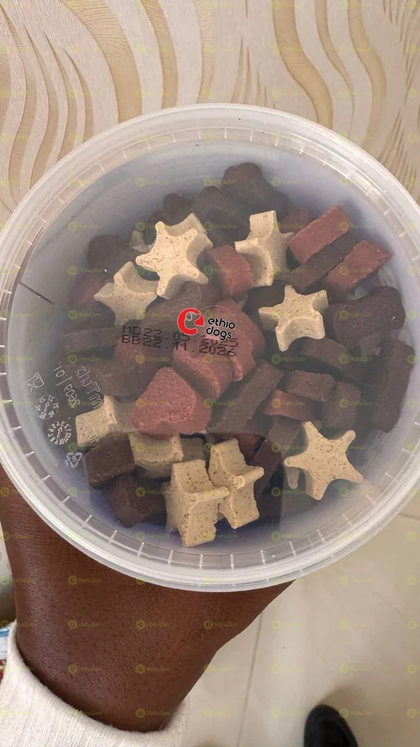 Dogs Treats