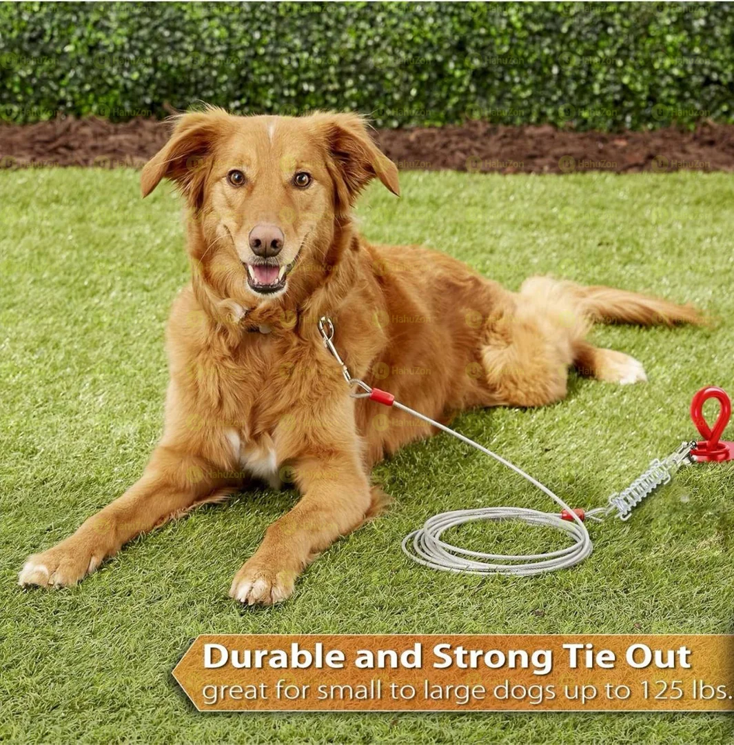 Shock Absorb Out Door Dog Tie-Out Cable