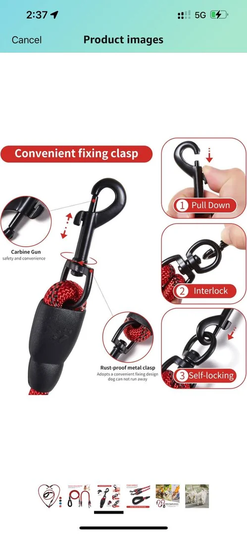 Double Dog Leash