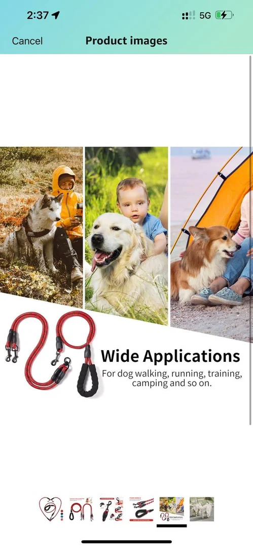Double Dog Leash