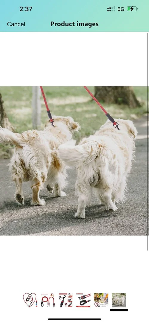 Double Dog Leash