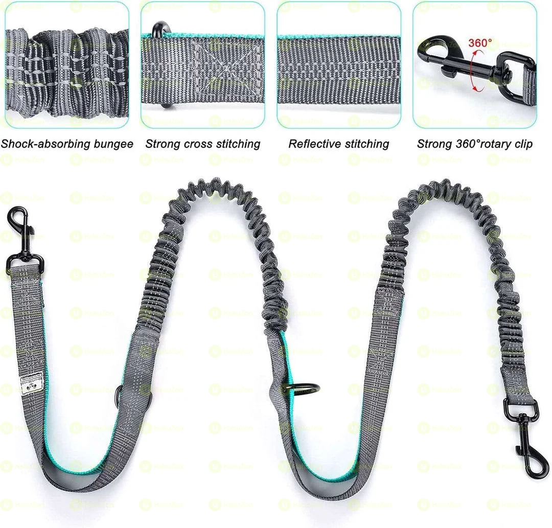 Dual Pet Leash