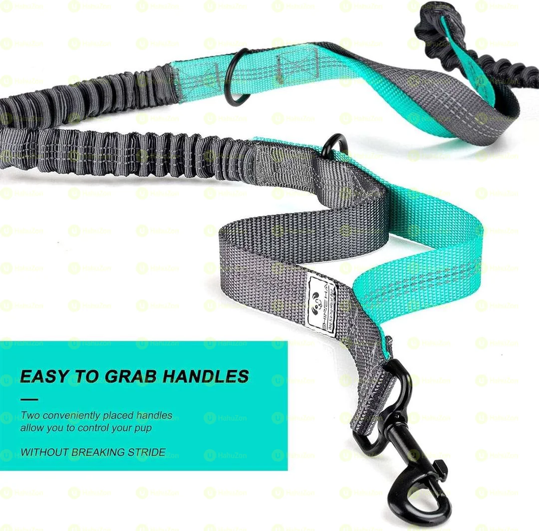 Dual Pet Leash