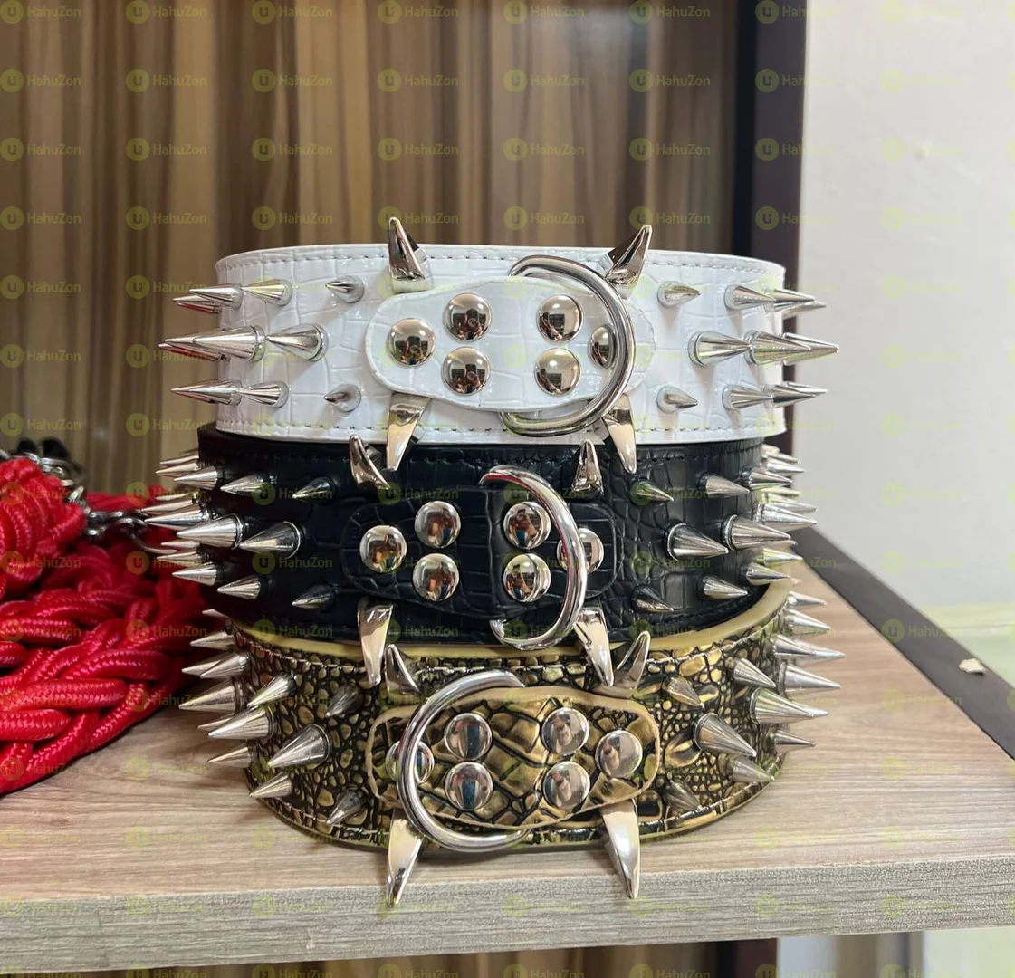 Luxury Leather Spike Collar