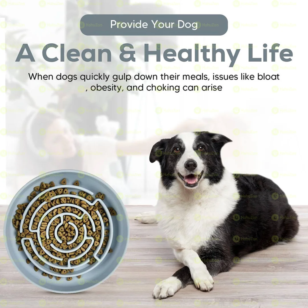 Slow Feeder Dogs Bowl