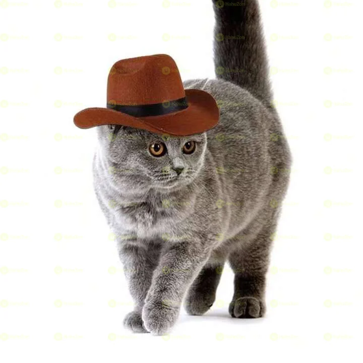 pet Cowboy Hat