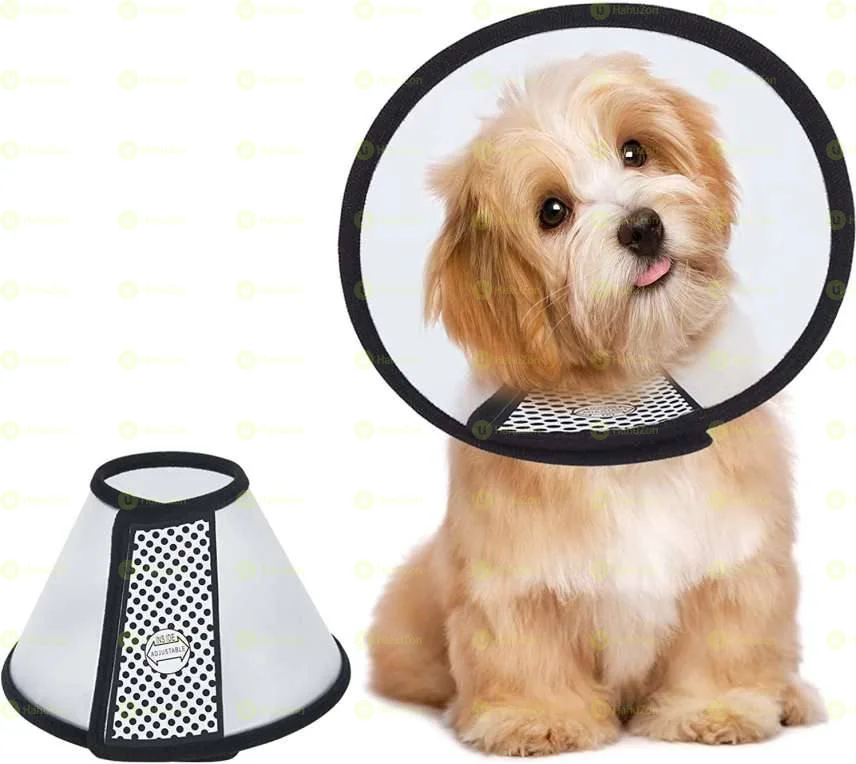 cone Collar
