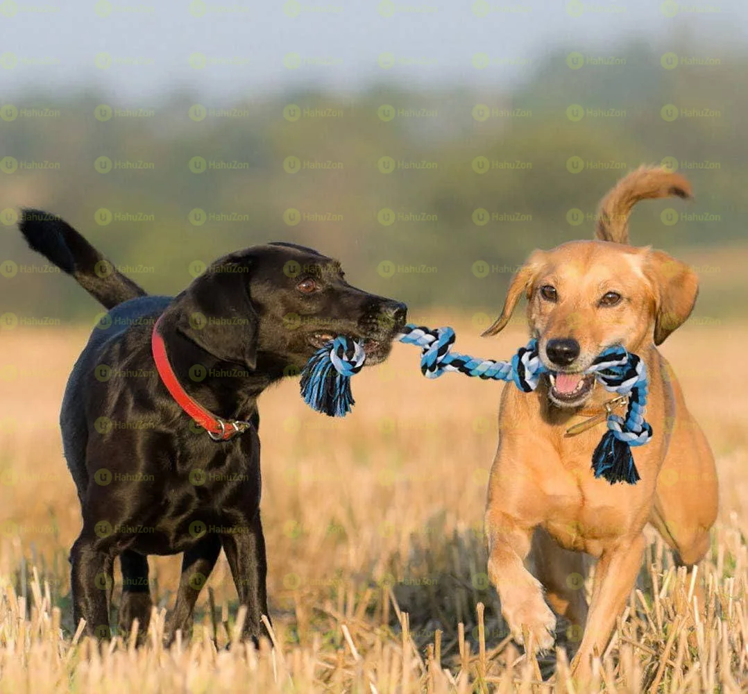 Durable Dog Rope Toy for Aggressive Chewers
