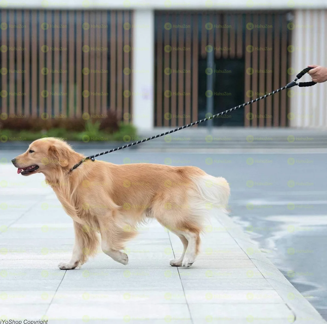 Slip Lead Leash